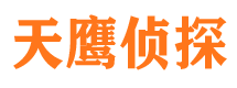 镇沅市调查公司